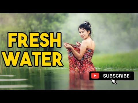 Fresh Water Meets (Sea Water) Nature Videos