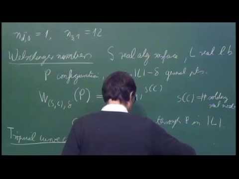 Tropical Geometry in the Tropics - Goettsche