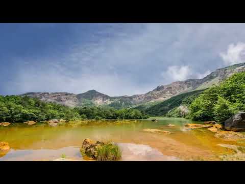 Dieting friend caught red-handed with pizza!