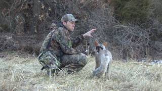 preview picture of video 'TBR Outdoors - Coyote Hunting - Yipping Coyotes get 15 Yards from MOJO Critter and Lone Howler'