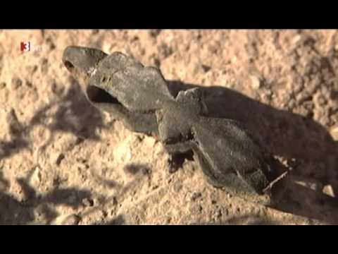 DOKU  Terra X   72   Todesboten aus Alamut   Der Geheimbund der Assassinen