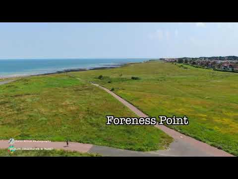 Foreness Grasslands  & Botany Bay