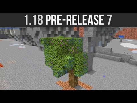 Minecraft 1.18 Pre-Release 7 Underwater Trees & Texture Tweaks