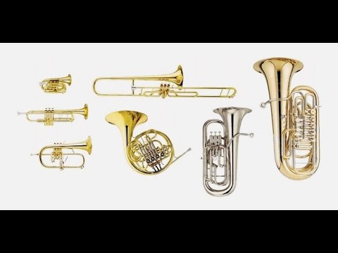 MESTRE O MAR SE REVOLTA ( ORQUESTRA )