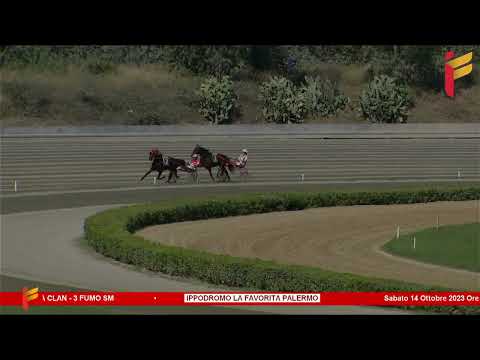 I prova di qualifica del 14 ottobre 2023 - 2 Anni - Mt. 1600