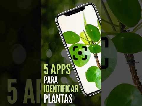 Las mejores apps de plantas para iPhone: identifica y cuida tus plantas