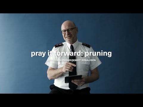 Soul Space Devotional   Prayer Initiative Pruning | mySalvos | The Salvation Army Australia