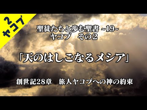 ヤコブのはしご、天のはしご 植物
