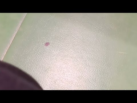 29.9.18 O2Jkl/MuuRy - 04,edustus Vs. Classic2