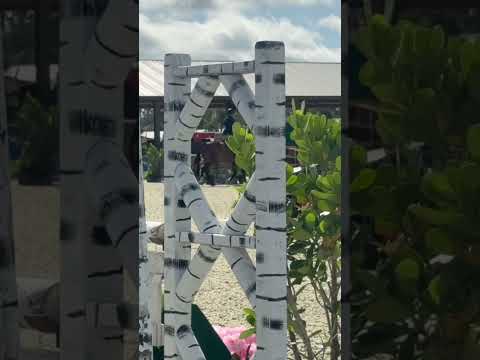 Crush video 3