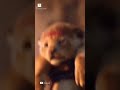 Best Attitude Status Attitude Whatsapp Status
