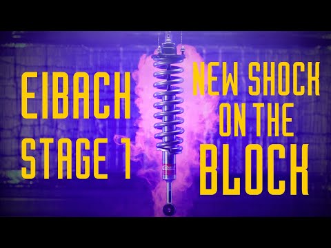 EIBACH STUFE 1 Deep Dive | SCHOCKWERT S2