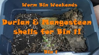 WBW Bin 1: Durian & Mangosteen shells for Bin 1!