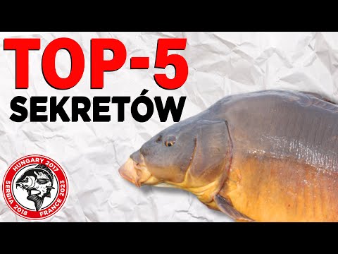 Musisz to wiedzieć! Jak złowić dużego karpia?