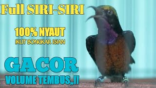 Download lagu KONIN GACOR FUL ISIAN SIRI SIRI VOLUME PEDAS BIKIN... mp3