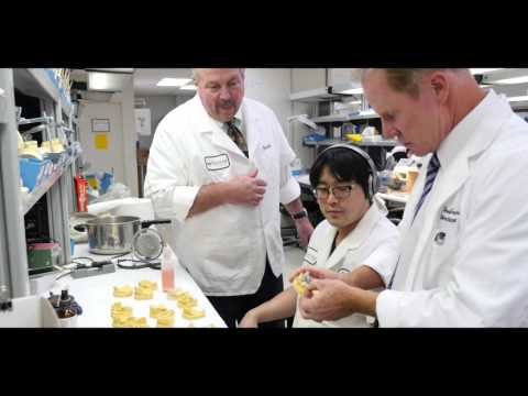 Bego Cast Partials Removable Lab Tour Video