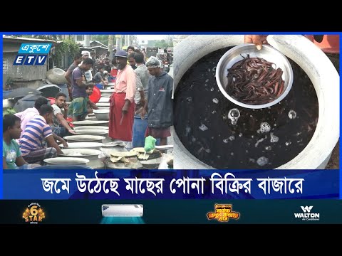 অবশেষে দুয়ার খুললো যশোর পোনা বিক্রয় কেন্দ্রের