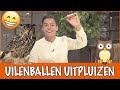 Uilenballen uitpluizen! | DierenpraatTV