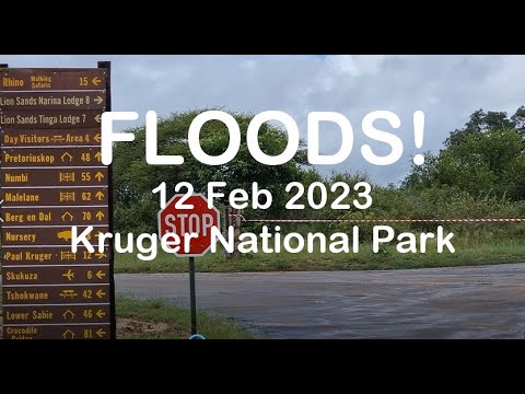 Floods in Kruger National Park - 12 Feb 2023