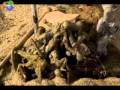Serj Tankian - The Unthinking Majority (Official Music Video)
