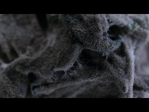 video frame placeholder