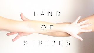 Land Of Stripes - Justin Figueroa
