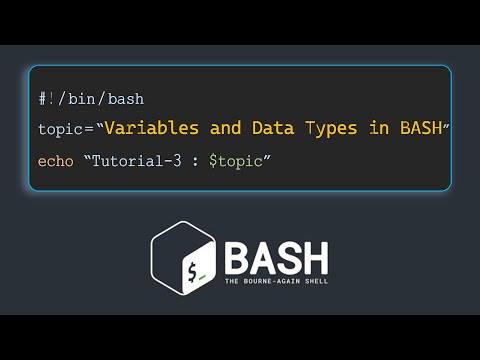 Bash Scripting Basics Variables And Data Types Bash Scripting Tutorial 3