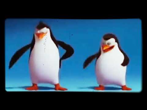 Pinguins dançando Dz7 na marcone!!!