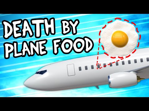 How 1 Meal Took Down a Plane with 144 Passengers
