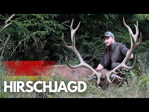 Hirschjagd in Deutschland