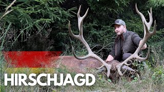 Hirschjagd in Deutschland