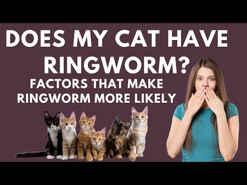 Does my Cat Have Ringworm? Understanding factors that make ringworm more or less likely.