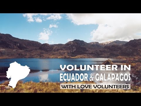 Volunteer in Ecuador  Galapagos Islands with Love Volunteers!