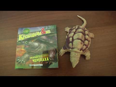 Крокодилы и Ко макси ФИНАЛ