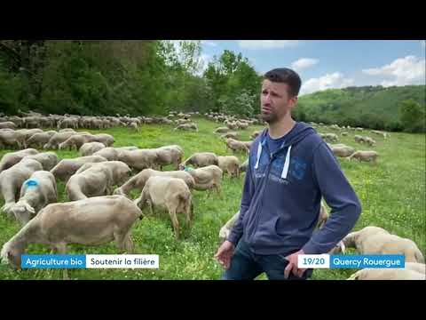 FRANCE 3 Quercy-Rouergue JT 19/20 - Mai 2023