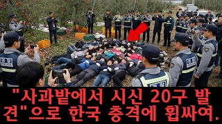 Download lagu 사과밭에서 20구 시신 발견, 평화로운 농장의 끔찍한 진실 | 범죄 | 실화 | 미스터리사건 mp3