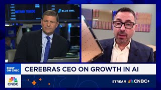 Cerebras CEO: Here's why our chips are a more efficient alternative to Nvidia