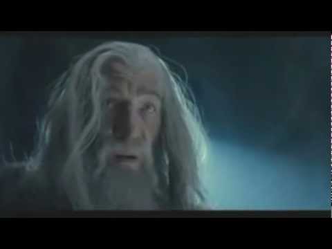 LOTR - Fool of a Took