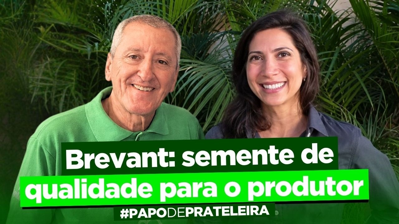 A Andrea é Brevant e distribuição até o último fio do cabelo! | Papo de Prateleira 1421