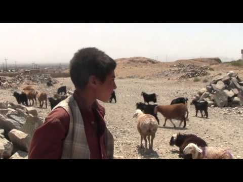 RIDM 2012 : FAR FROM AFGHANISTAN de John Gianvito, Jon Jost, Minda Martin, Travis Wilk...