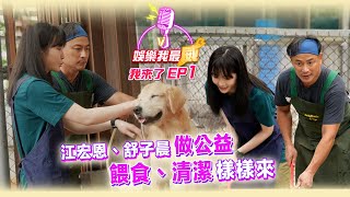 江宏恩、舒子晨一日流浪狗場志工