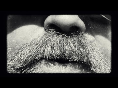 Feil sted til feil tid - Ørretfiske på Mjøsa