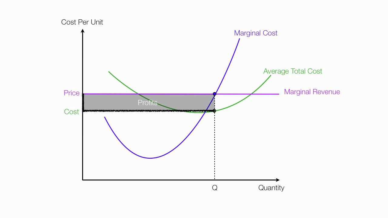 Introduction to Perfect Competition
