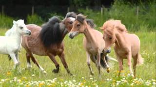indochine la chevauchée des champs de blé