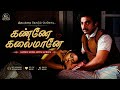 Kanne Kalaimane கண்ணே கலையமானே Tamil Lyrics Video Sad Melody