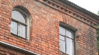 ДОМАШНИЕ ИСТОРИИ Чкалова 46