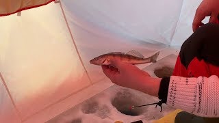 Отчет о рыбалке дубна плотина