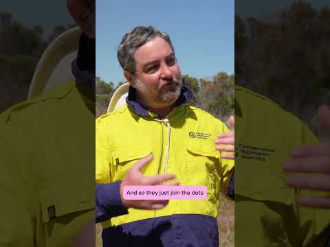 Travis, our Project Coordinator, at Edwards Point Reserve