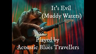 Evil by Muddy Waters  - Blues Guitar and Harmonica - Acoustic Blues Travellers