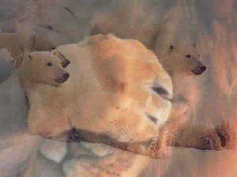 wünsche und sehnsüchte